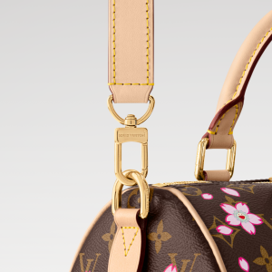LOUIS VUITTON MURAKAMI LV X TM SPEEDY BANDOULIÈRE 25 M14174 (25*19*15cm) - Image 5