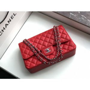 Ch@nel Flap Bag-Cavir Leather-Silver-30CM - Image 3