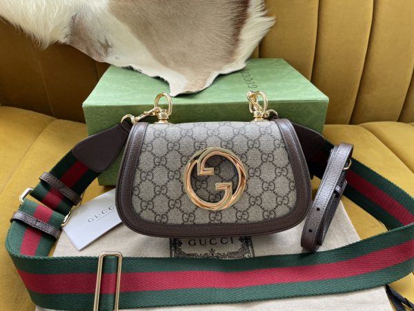 bag-20123434eererw_1_.jpg