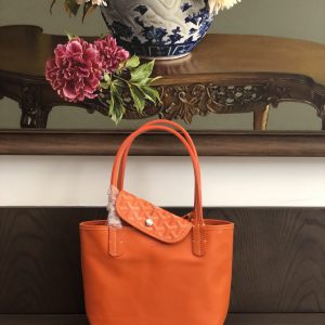 Goyard Anjou Mini Handbags-30CM - Image 5