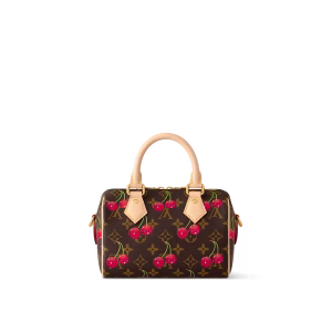 Louis vuitton LV x TM Speedy Bandoulière 20 (13.5 x 12 x 20.5) - Image 5