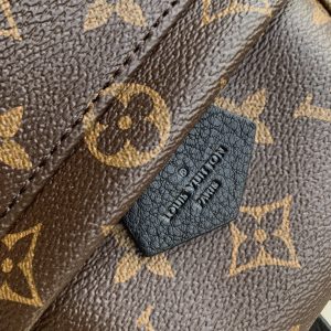 Louis Vuitton Palm Springs Mini My LV World Tour-22/15/9CM - Image 2