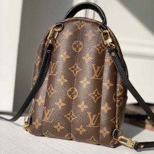 Louis Vuitton Palm Springs Mini My LV World Tour-22/15/9CM - Image 6