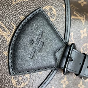 Louis Vuitton Montsouris Backpack-32 x 40 x 19CM - Image 5