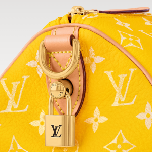 LOUIS VUITTON SPEEDY P9 BANDOULIÈRE 25 Jaune Mat - Image 3
